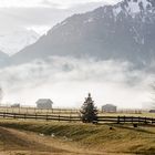 Nebelige Landschaft im Alpenvorland