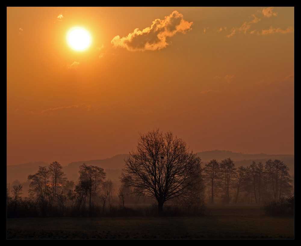 ...nebeliger frühlingsmorgen #4....