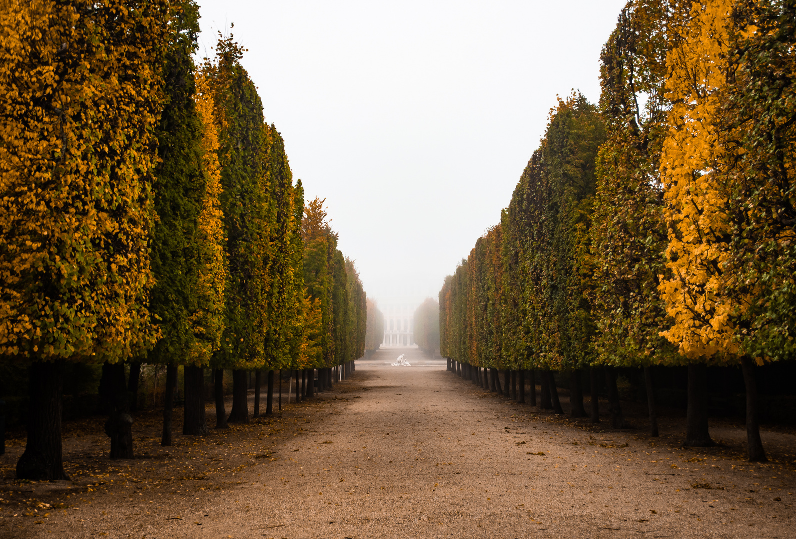 Nebeliger Herbstmorgen im Schlosspark von Schönbrunn