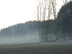 Nebeliger Herbstnachmittag