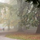 Nebeliger Herbsttag im Seepark Kreuzlingen