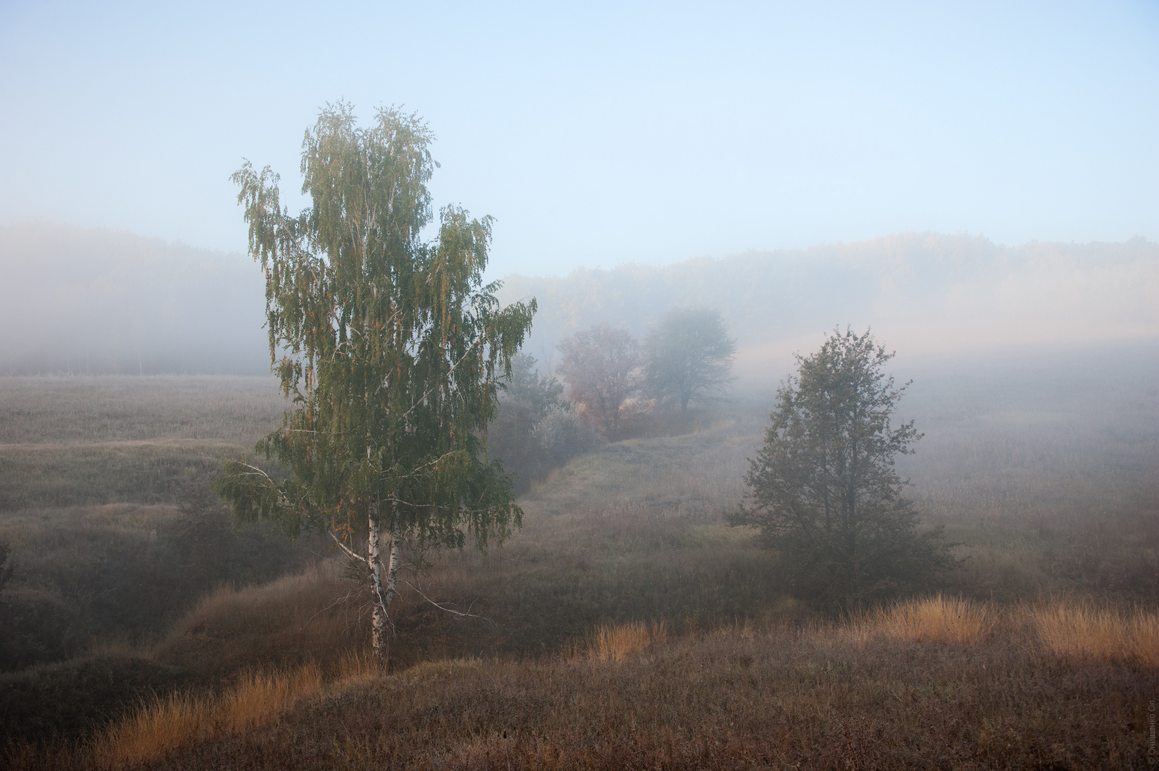 Nebeliger Morgen