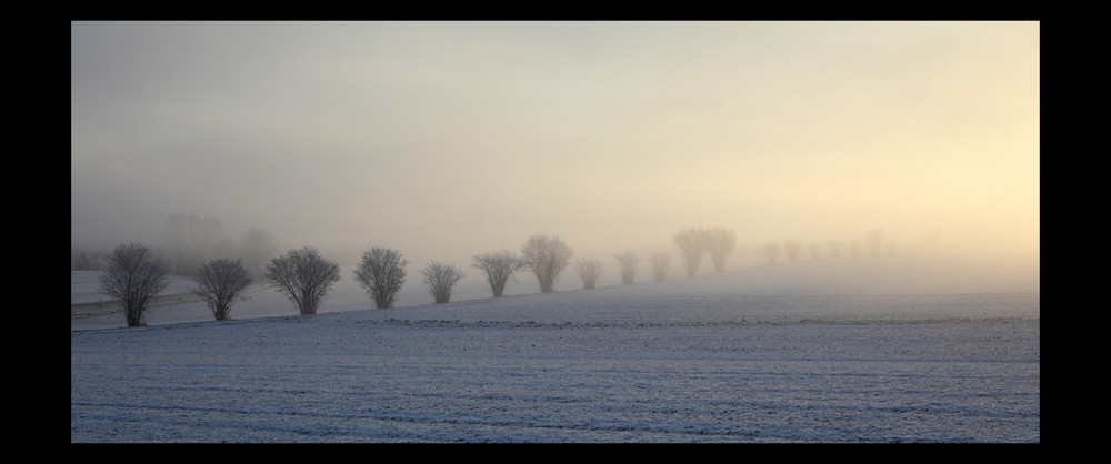 nebeliger Morgen