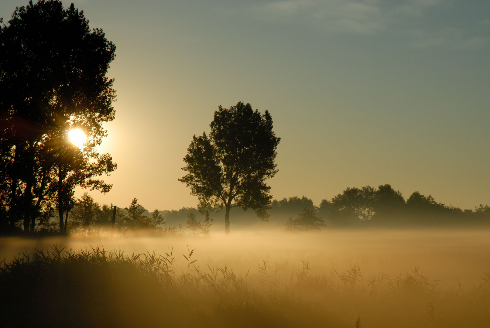 Nebeliger Morgen in Tönning