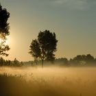 Nebeliger Morgen in Tönning