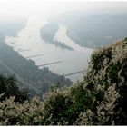 Nebeliger Oktobermorgen auf dem Drachenfels