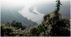 Nebeliger Oktobermorgen auf dem Drachenfels