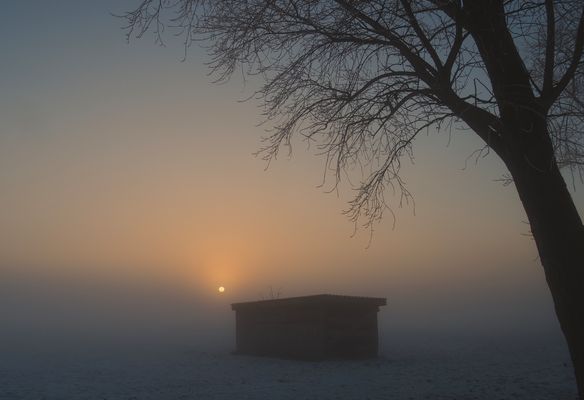nebeliger Winterabend....