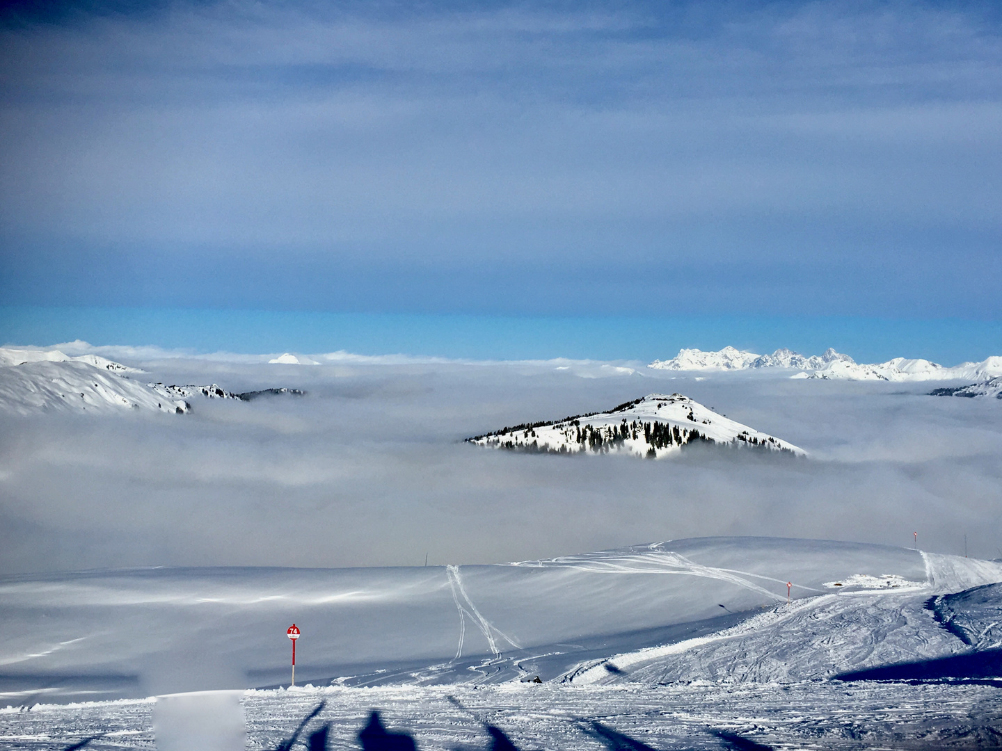 Nebeliger Wintermorgen