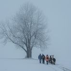 Nebeliger Wintertag