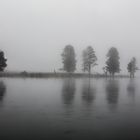 Nebelimpressionen Yellowstone NP