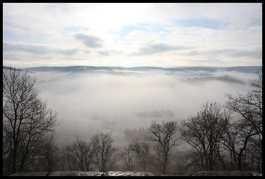 Nebellandschaft (3)