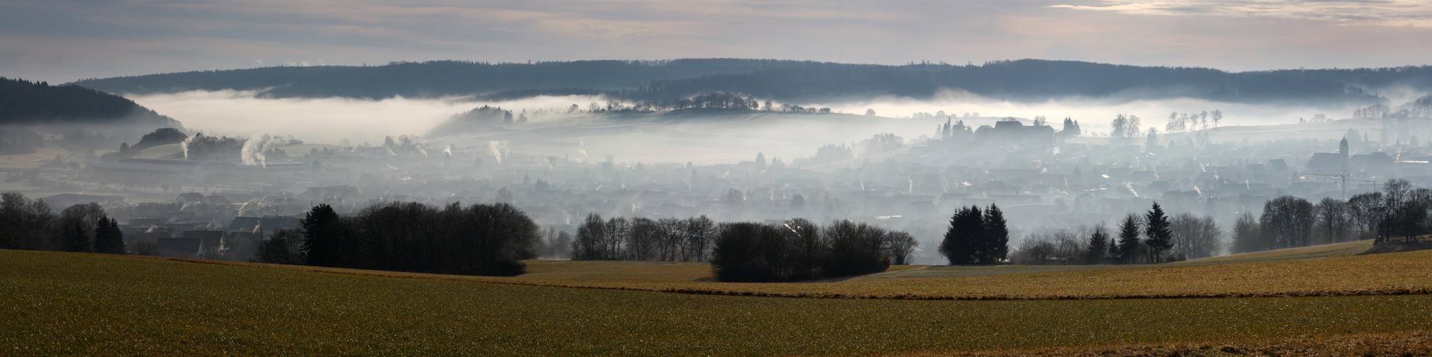 Nebellandschaft