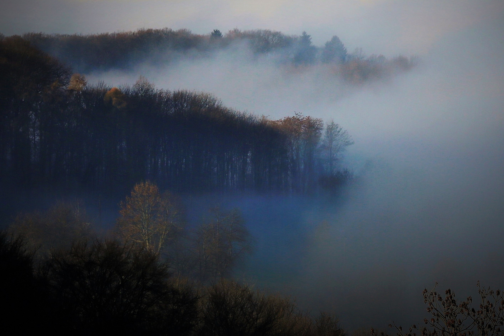 Nebellandschaft