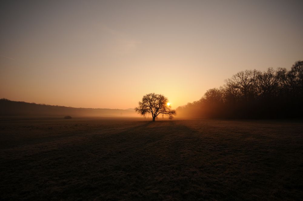 Nebellandschaft