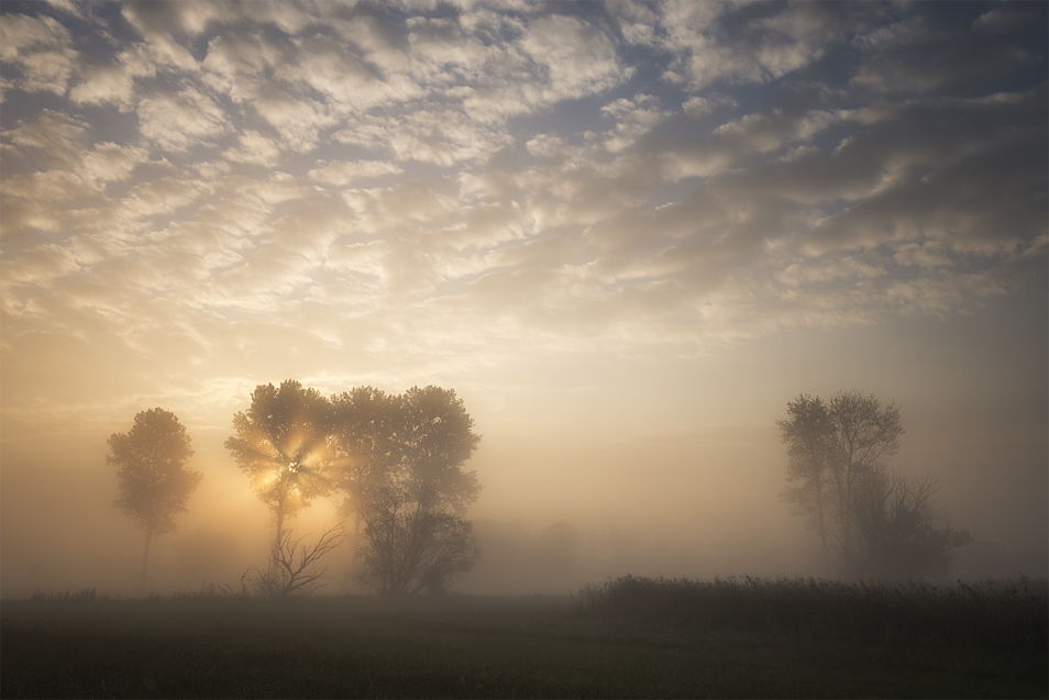 Nebel|Landschaft