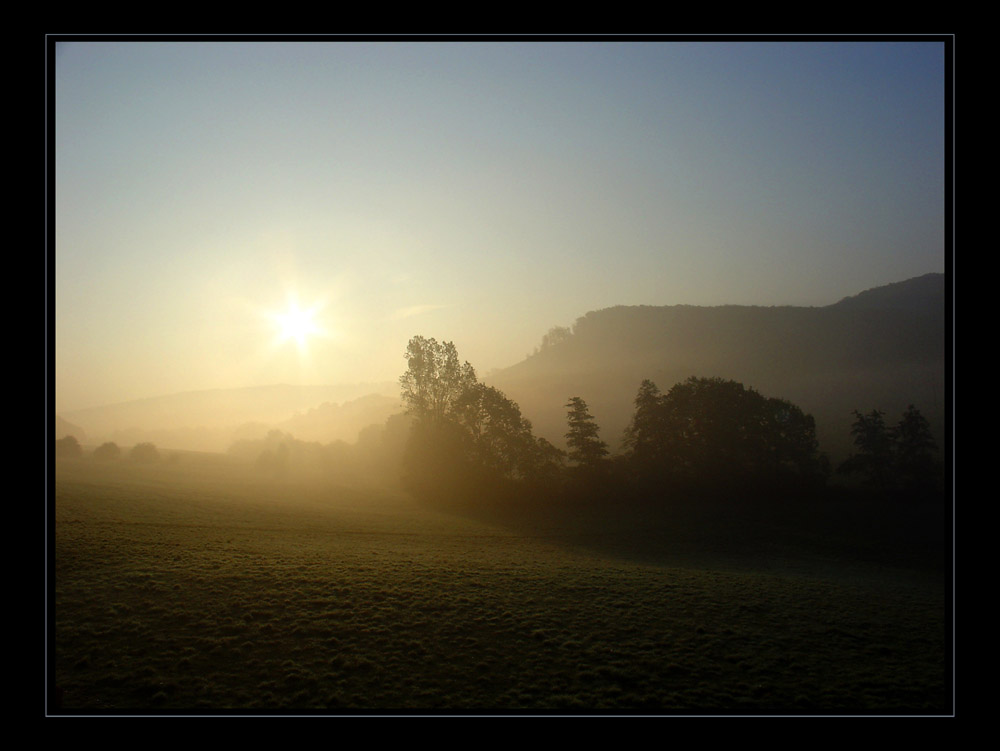 Nebellandschaft