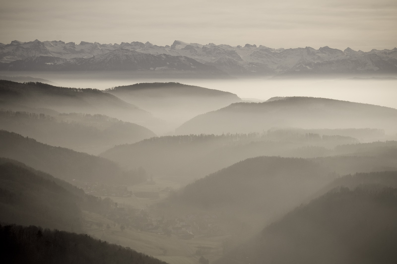 Nebellandschaft auf dem Uetliberg