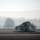 Nebellandschaft auf der Baar bei Donaueschingen