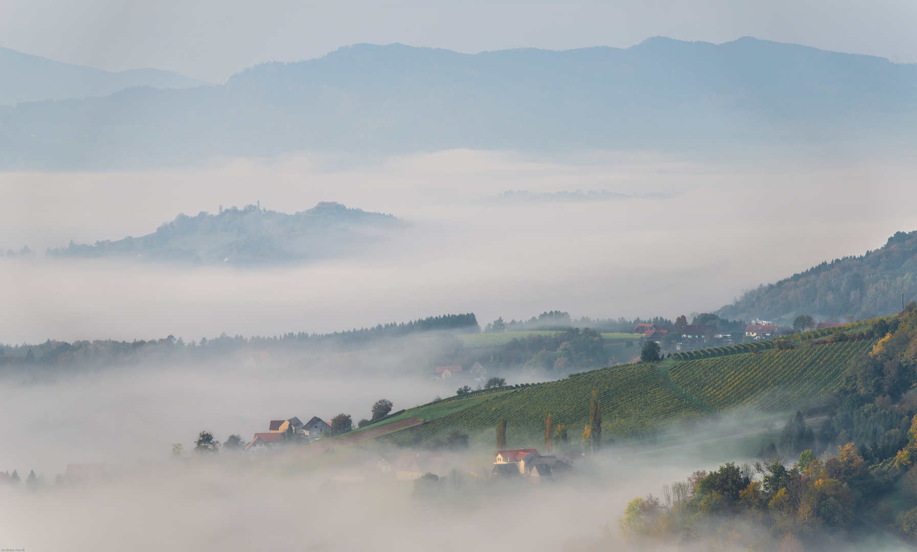 Nebellandschaft