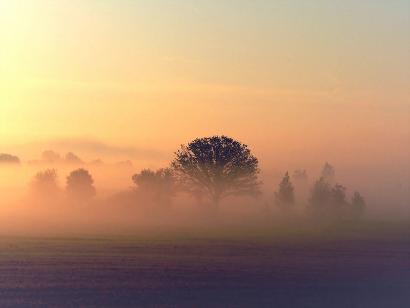 Nebellandschaft bei aufgehender Sonne