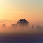 Nebellandschaft bei aufgehender Sonne