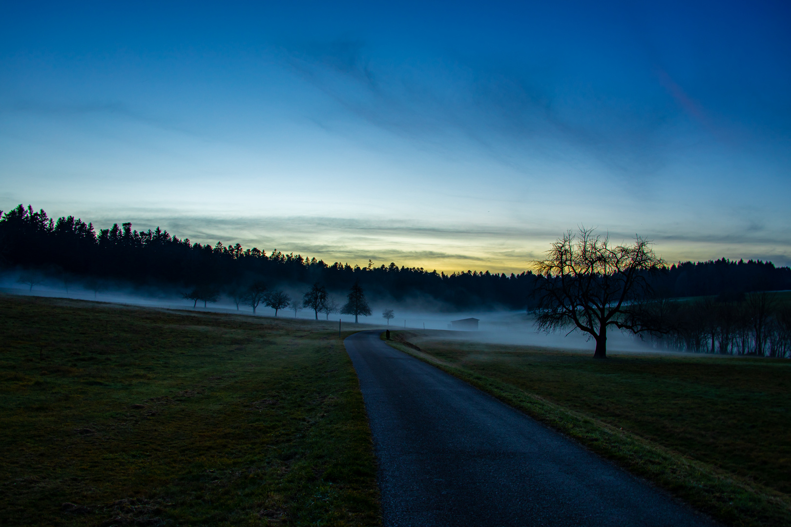 Nebellandschaft beim Sonnenuntergang