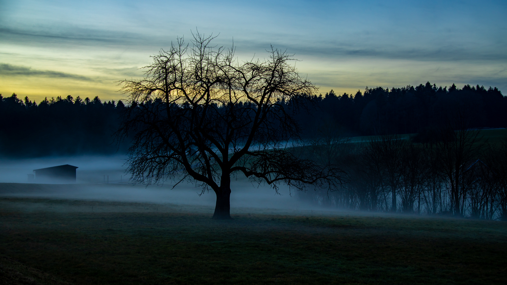 Nebellandschaft beim Sonnenuntergang