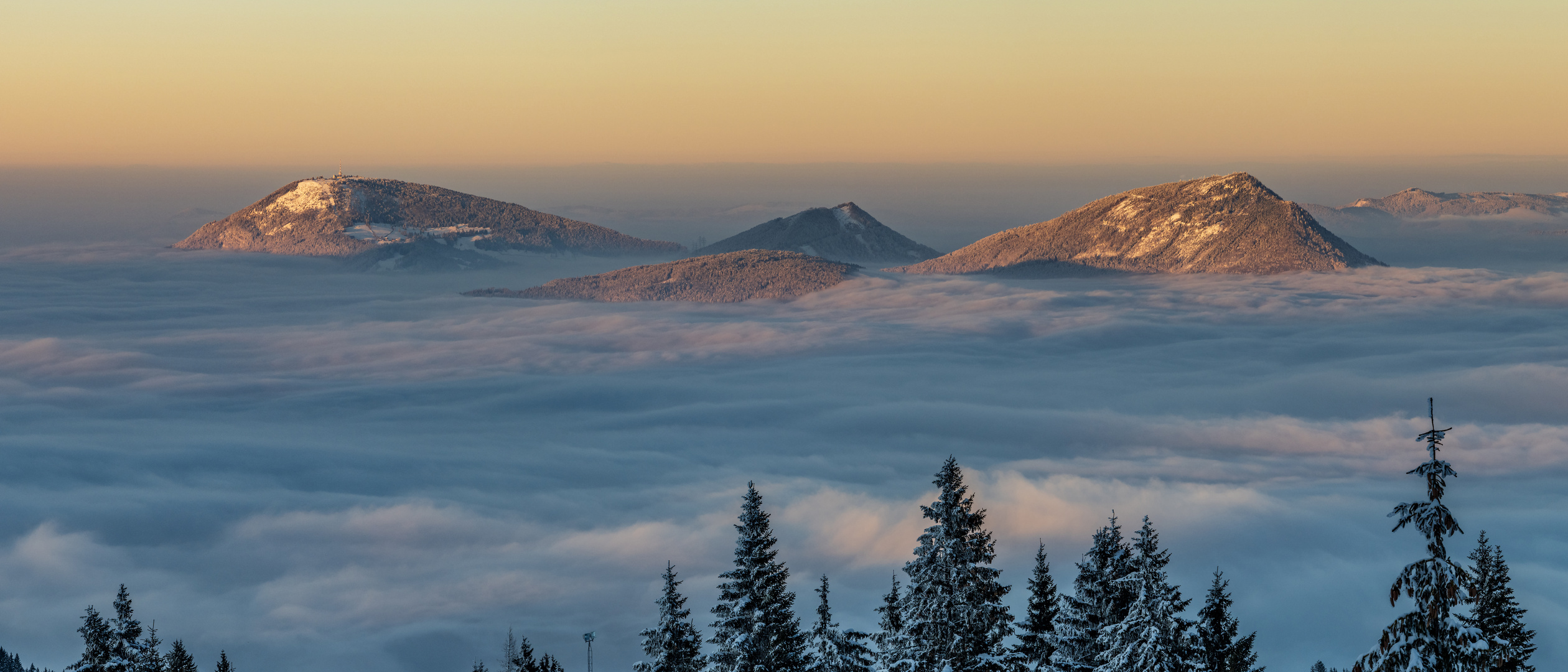 Nebellandschaft