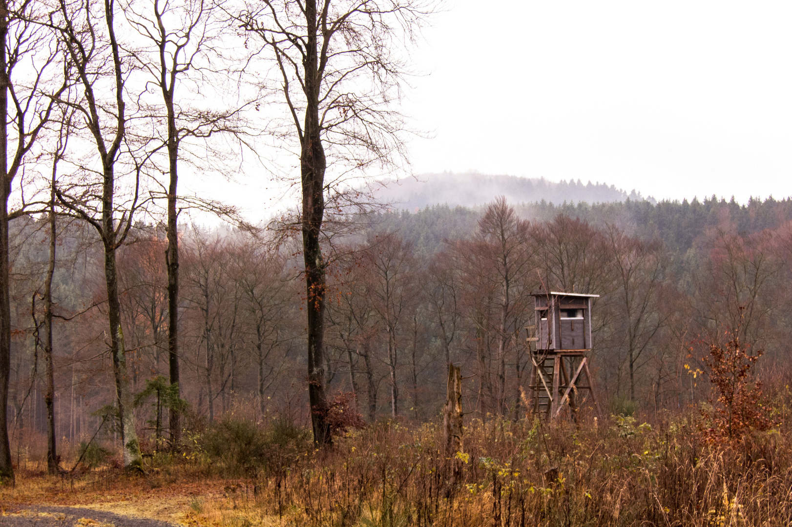 Nebellandschaft Eifel