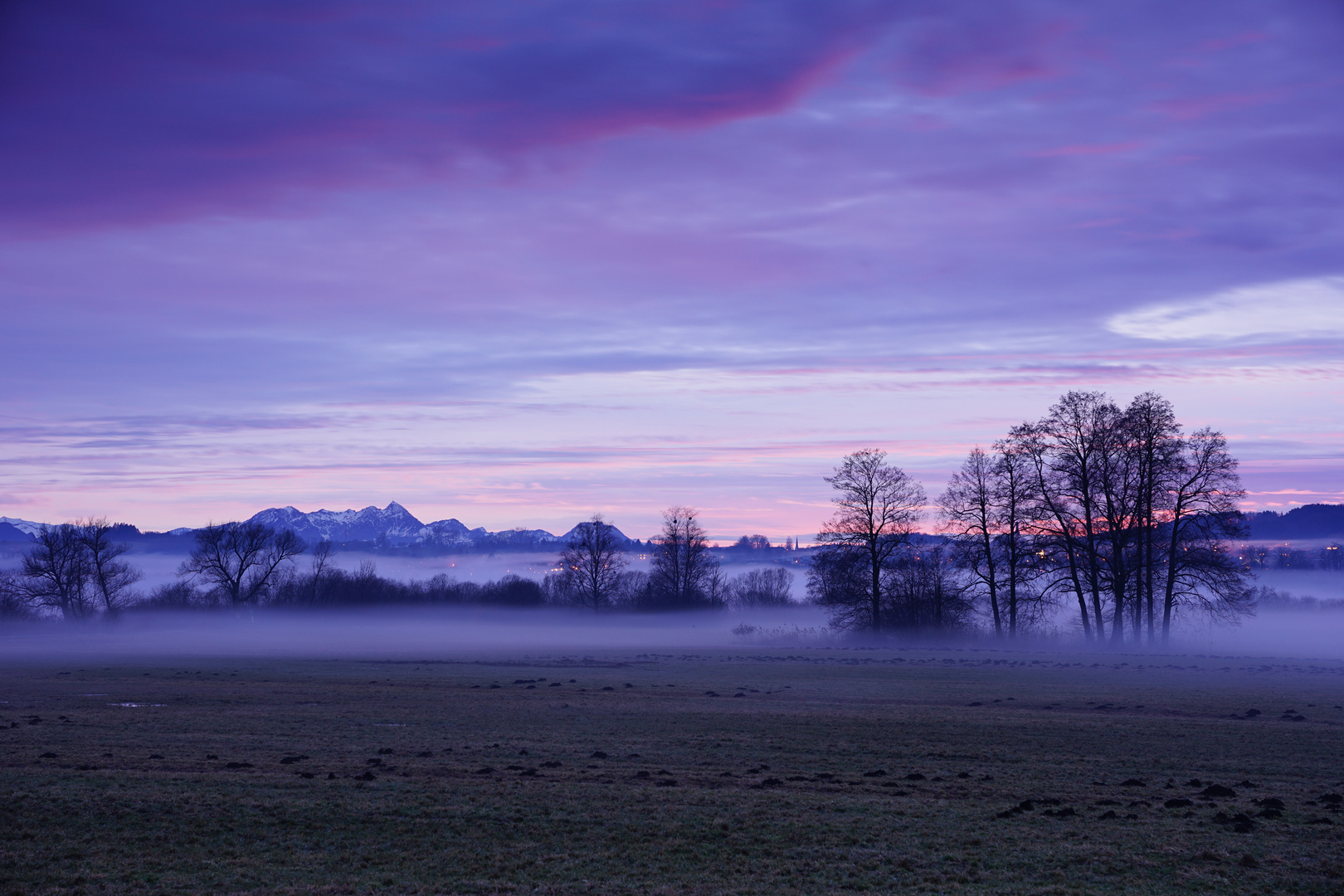 Nebellandschaft