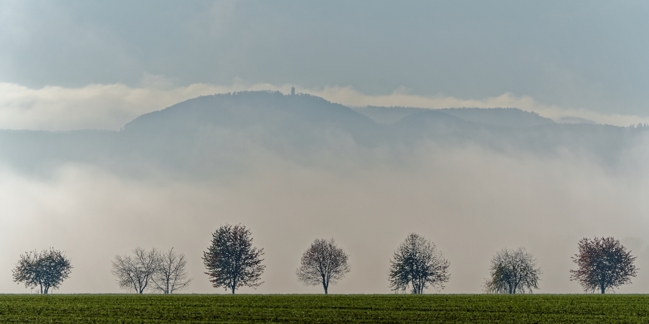 Nebellandschaft