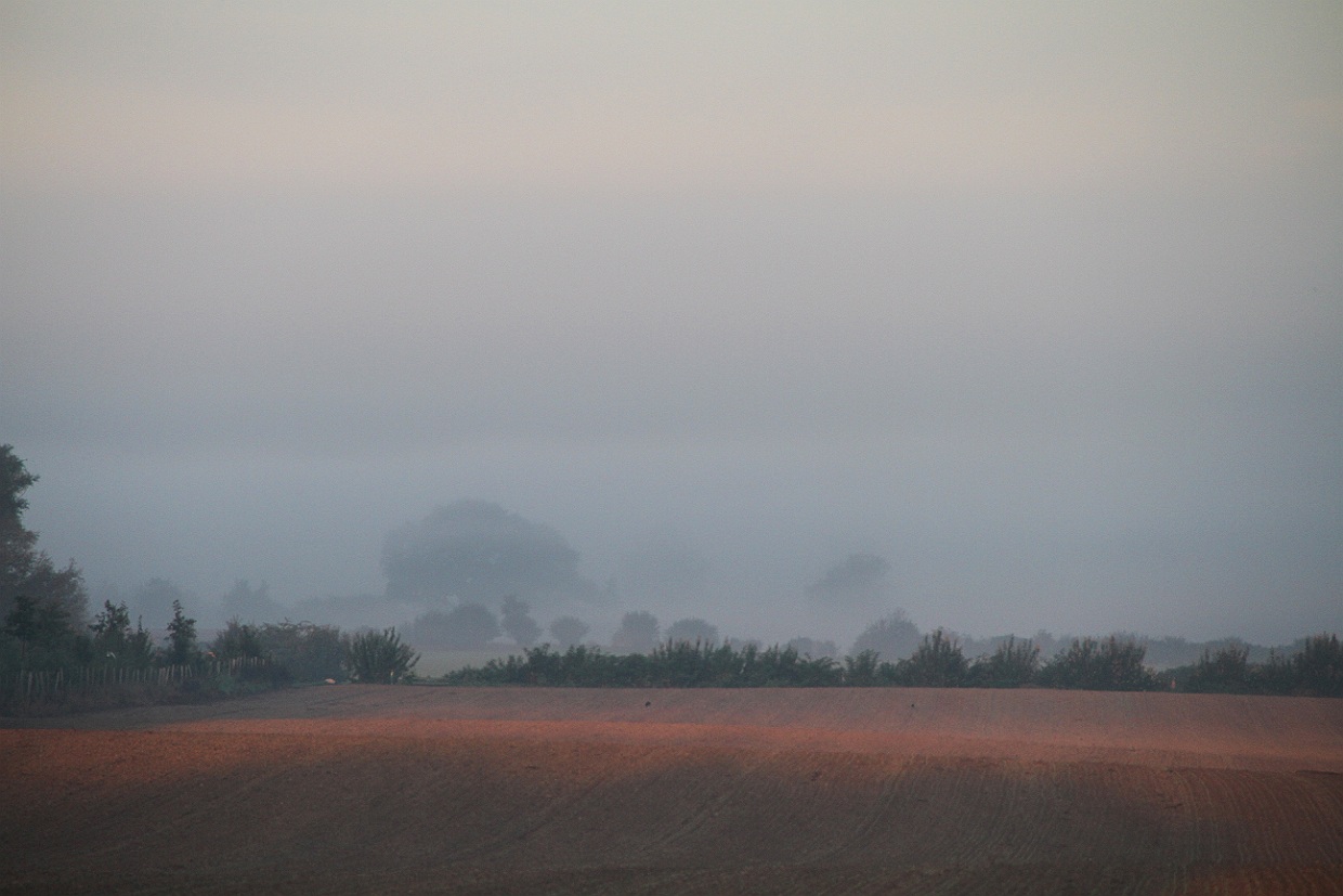 Nebellandschaft im Herzogtum Lauenburg