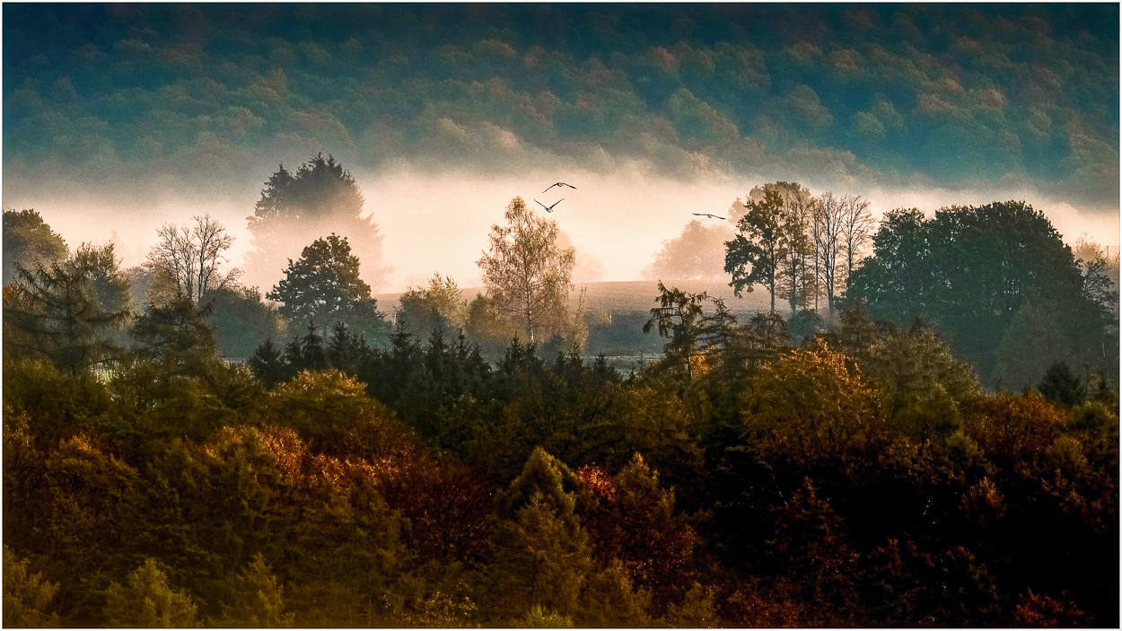 Nebellandschaft im Morgenlicht