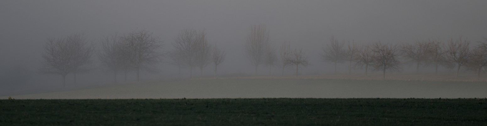 Nebellandschaft im Panorama-Format