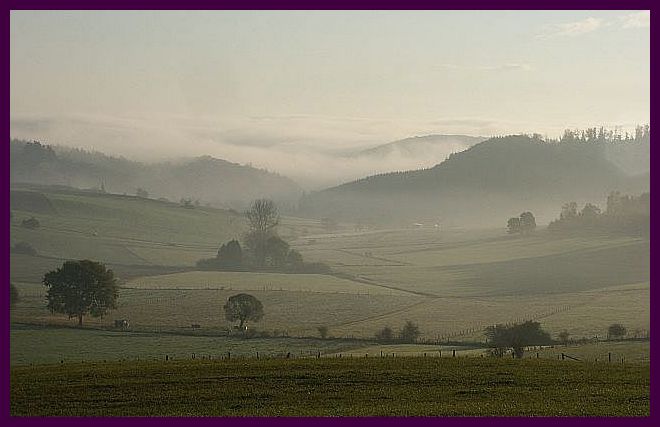 Nebellandschaft im Sauerland