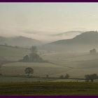 Nebellandschaft im Sauerland