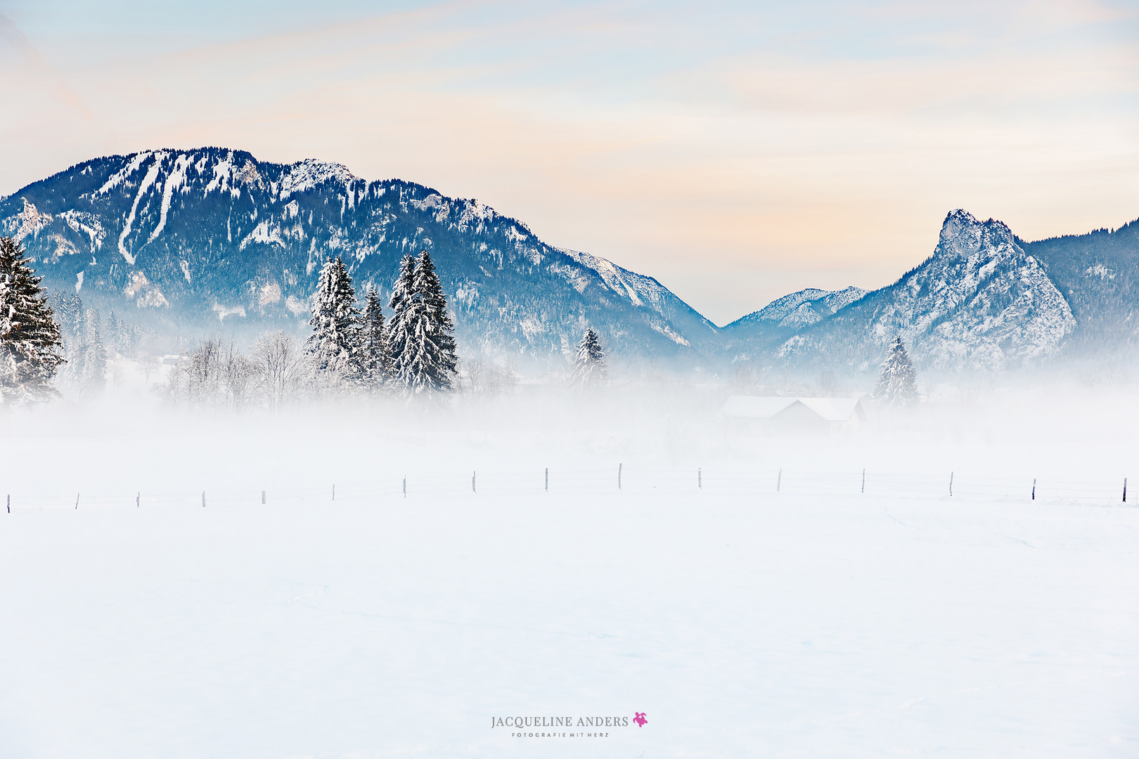 Nebellandschaft im Winter