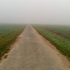 Nebellandschaft in der Feldmark bei Hollenstedt/ Northeim.