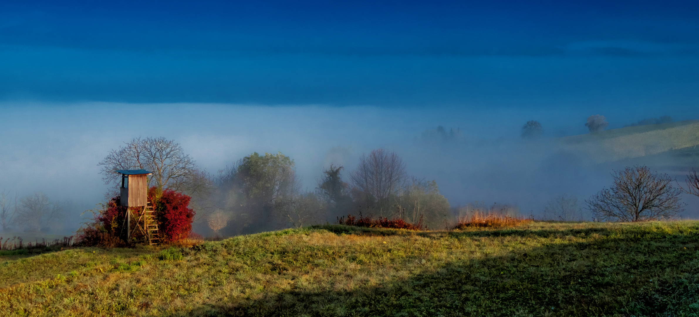 Nebellandschaft November 16