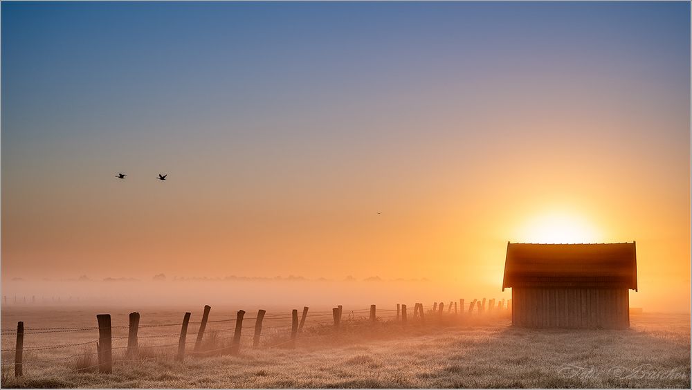 Nebellandschaft & Sonnenaufgang