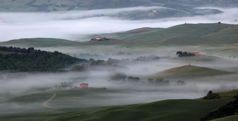 Nebellandschaft - Toscana