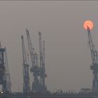 Nebelleuchte im Hafen Hamburg