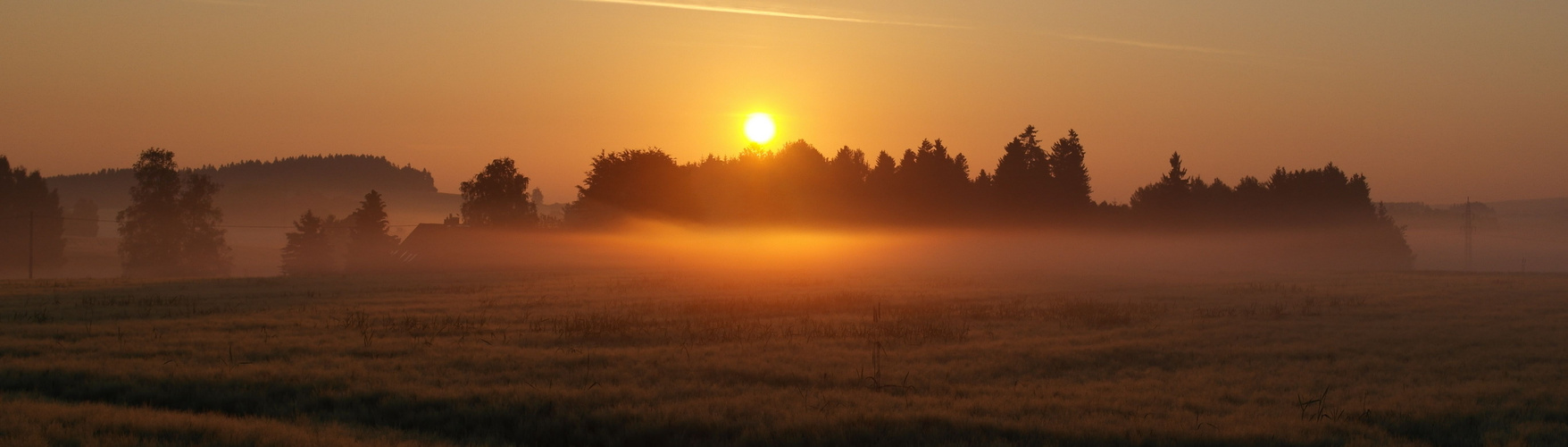 Nebelleuchten am frühen Morgen