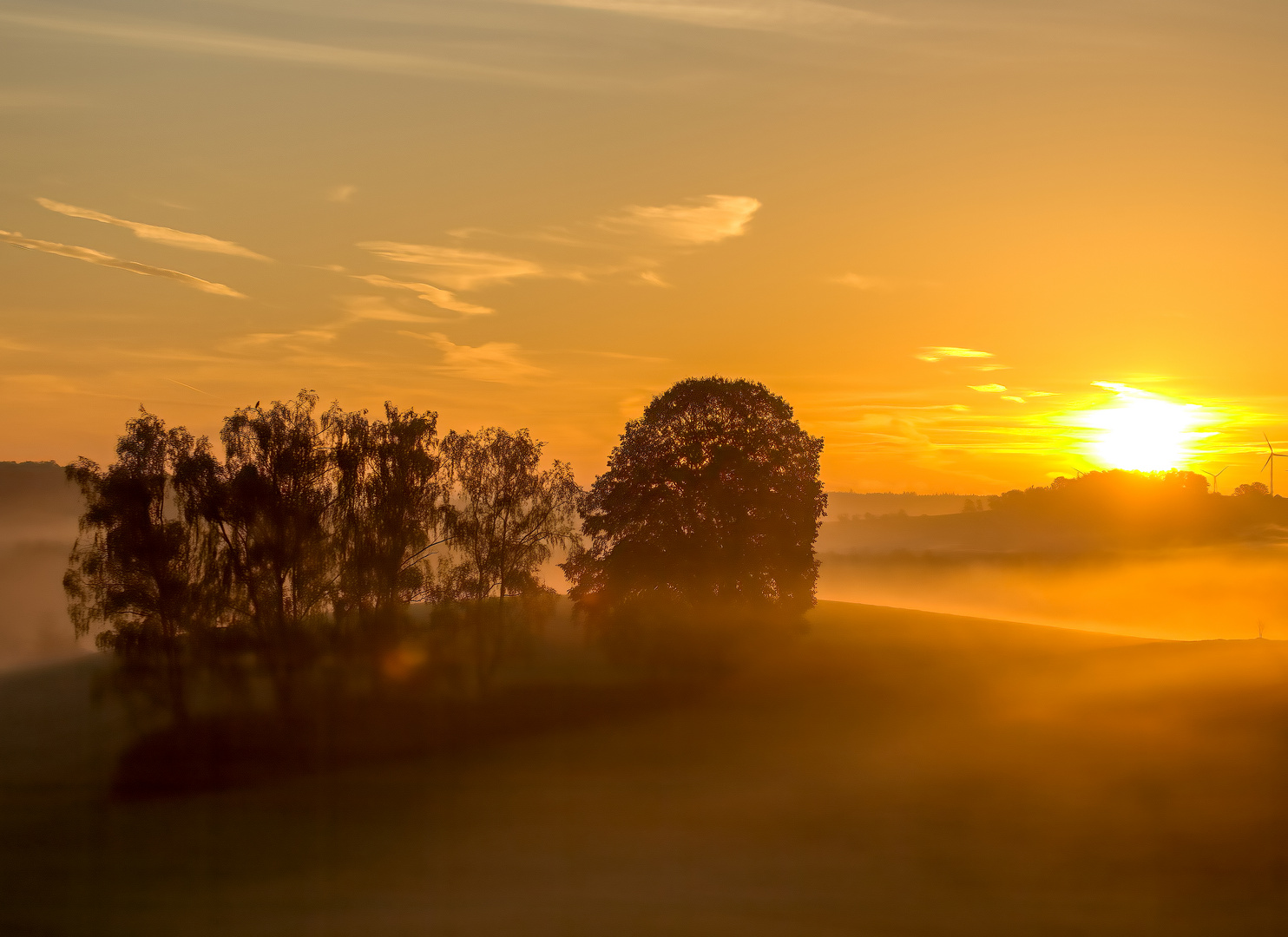 Nebelleuchten am Morgen