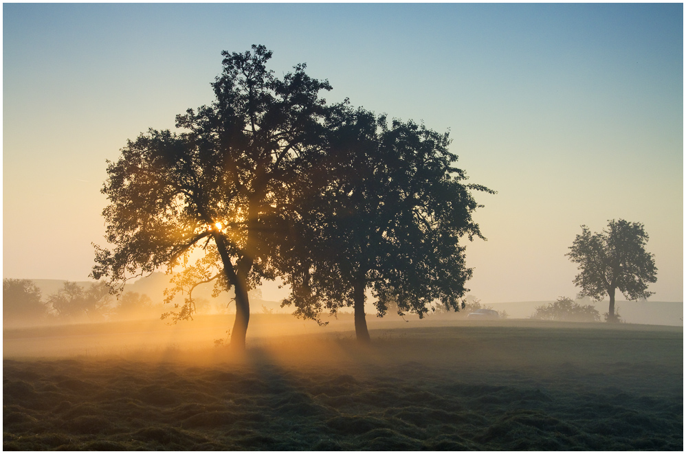 Nebel/Licht