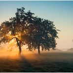 Nebel/Licht