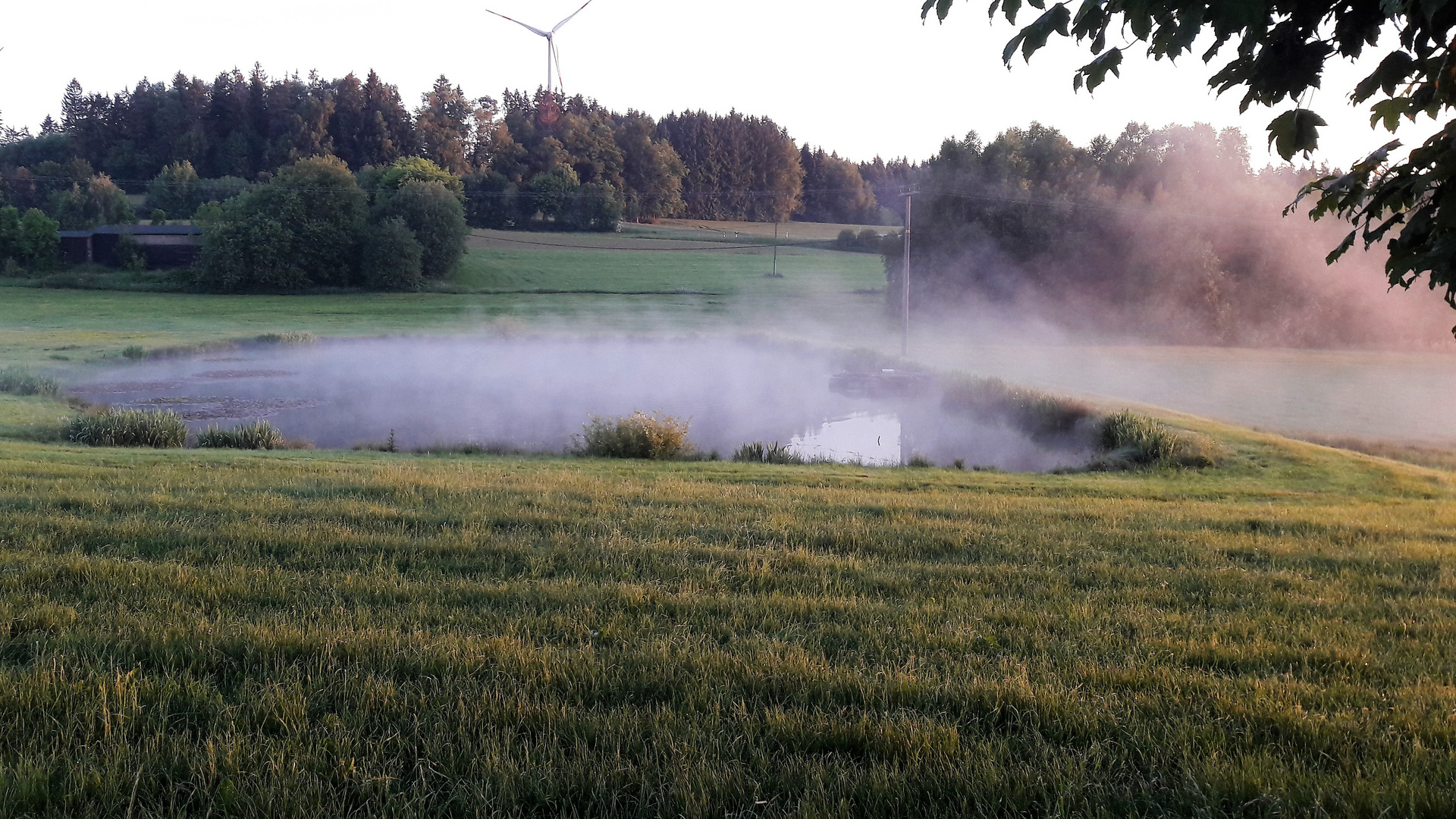 Nebelmaschine bei der Arbeit  