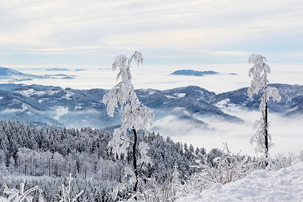 Nebelmeer