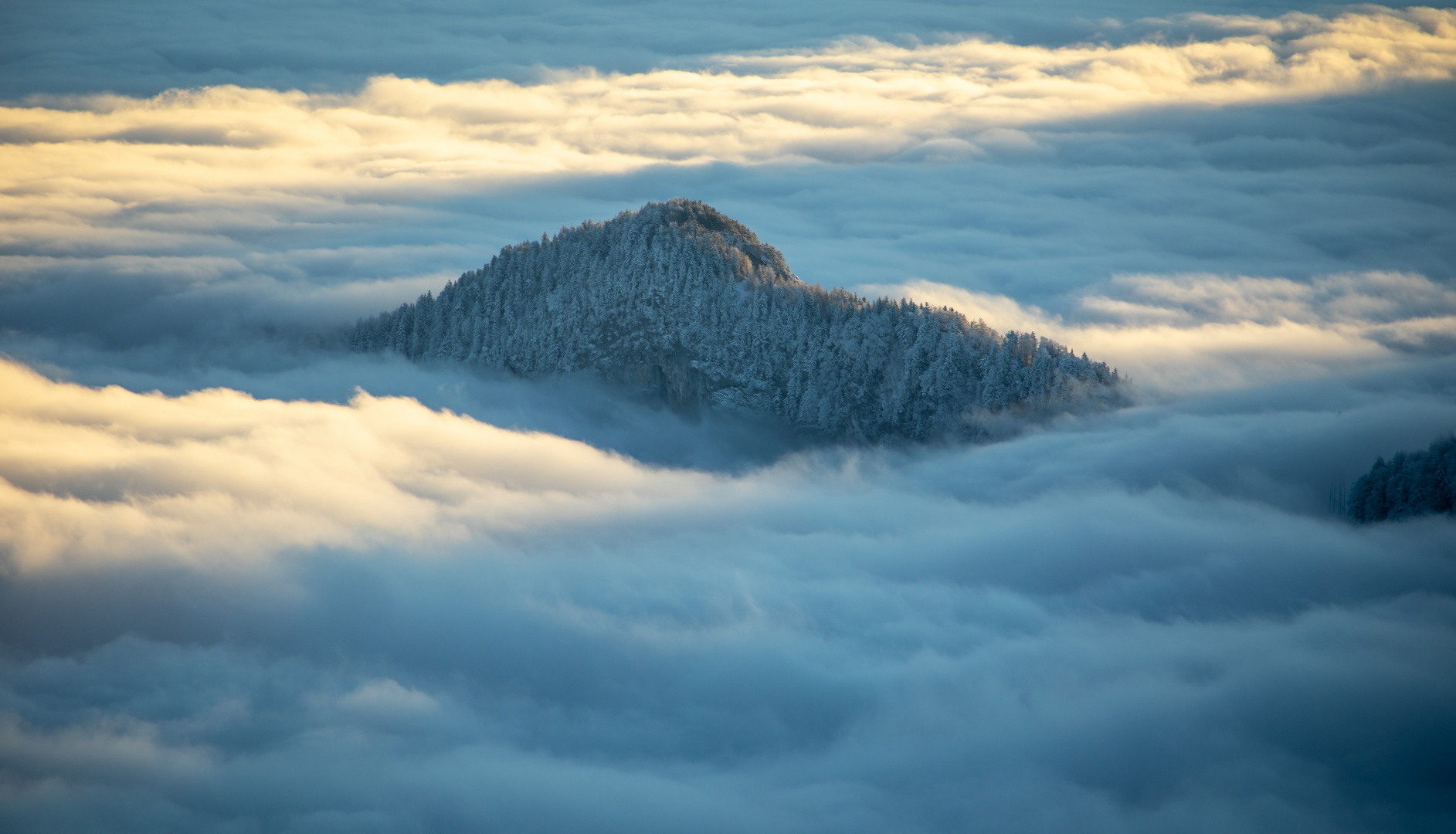 Nebelmeer (1) 